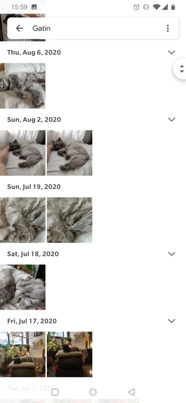 Google Photos for Android: Organize and Share Your Memories