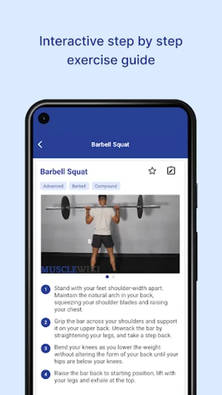 MuscleWiki for Android - Comprehensive Fitness App