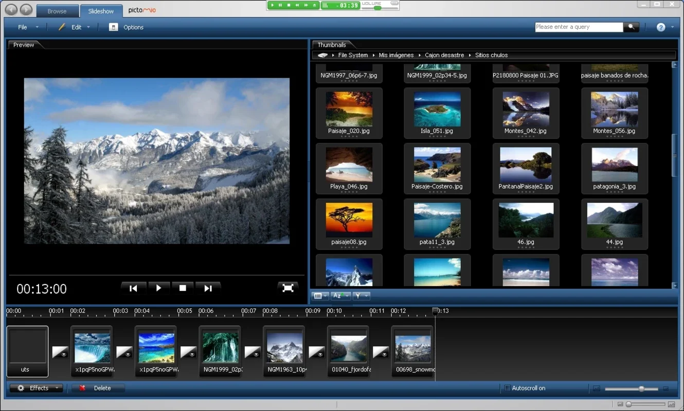 Pictomio for Windows - Free Multimedia Viewer and Organizer