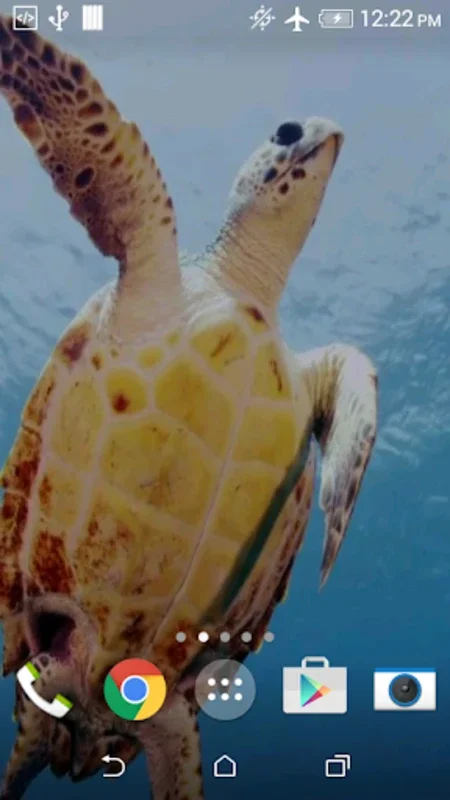 Turtle 3D Live Wallpaper for Android - Battery-Friendly Beauty