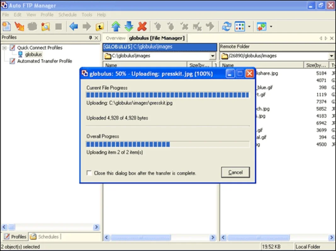 Auto FTP Manager for Windows - Streamline Your File Transfers