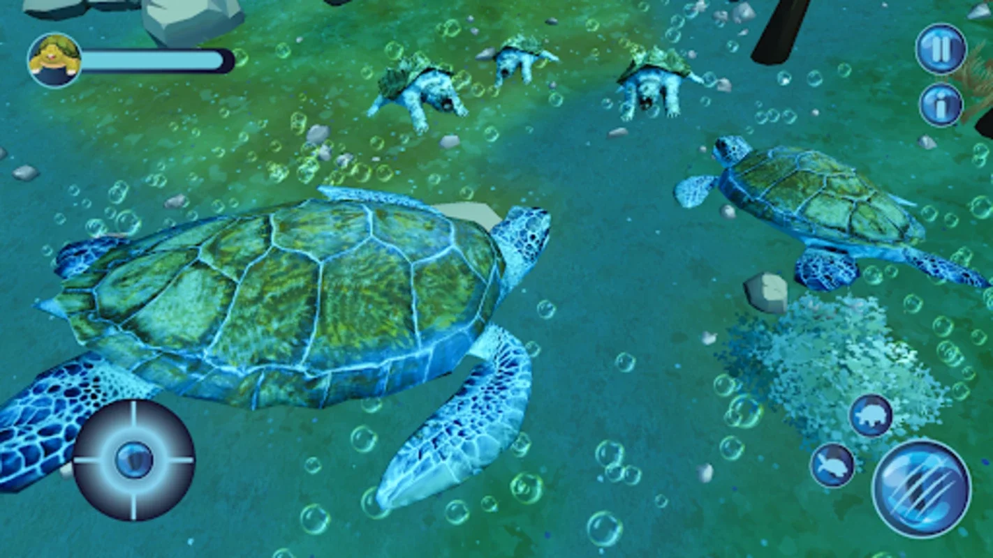 Turtle Simulator for Android - Immerse in Turtle Life