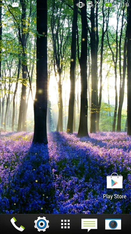 Forest Live Wallpaper for Android: Immerse in Nature