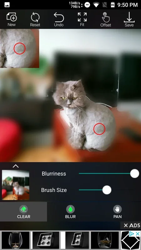 DSLR Camera Blur for Android - Quick and Easy Photo Blurring