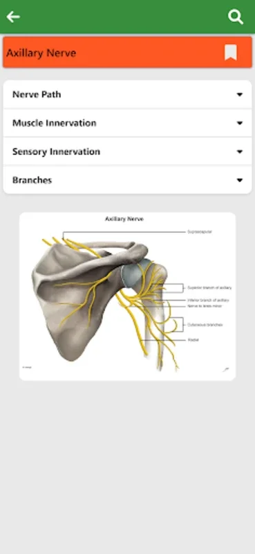 Orthopedic Anatomy for Android: Enhance Your Knowledge