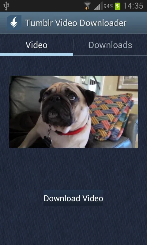 Tumblr Video Downloader for Android: Effortless Video Access