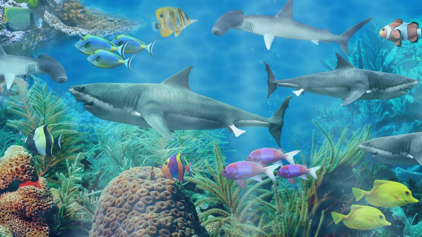 Shark Aquarium for Android - Stunning Underwater Live Wallpaper