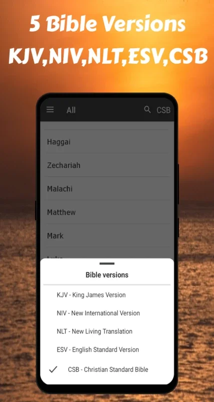 Bible Offline KJV + NIV + NLT for Android: Your Daily Spiritual Companion