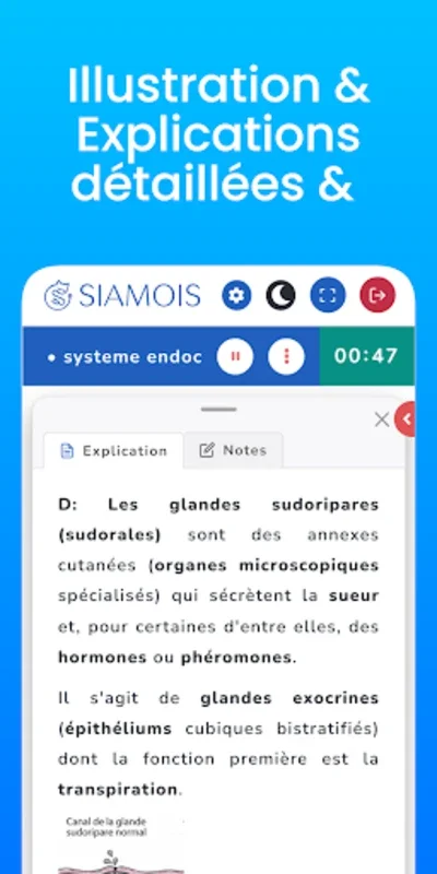 Siamois QCM for Android - A Great Resource for Medical Students