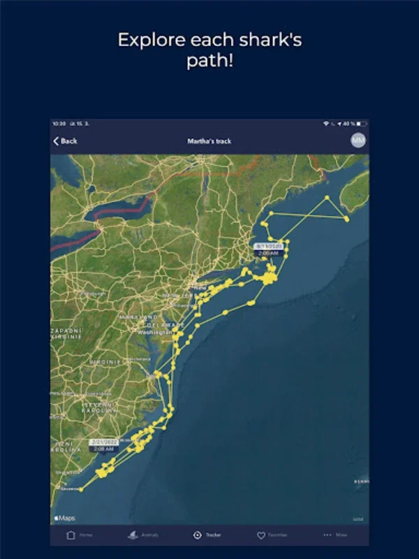 Shark Tracker for Android: Track Sharks Live