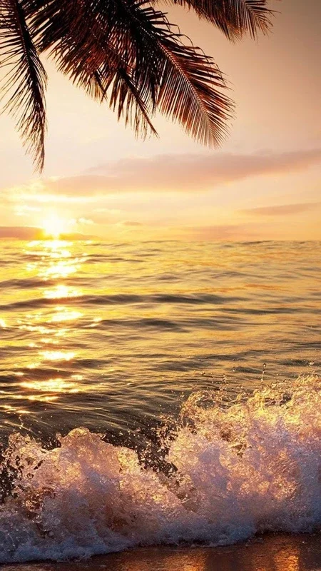 Beach Sunset Live Wallpaper for Android - Immerse in Serene Coastal Beauty