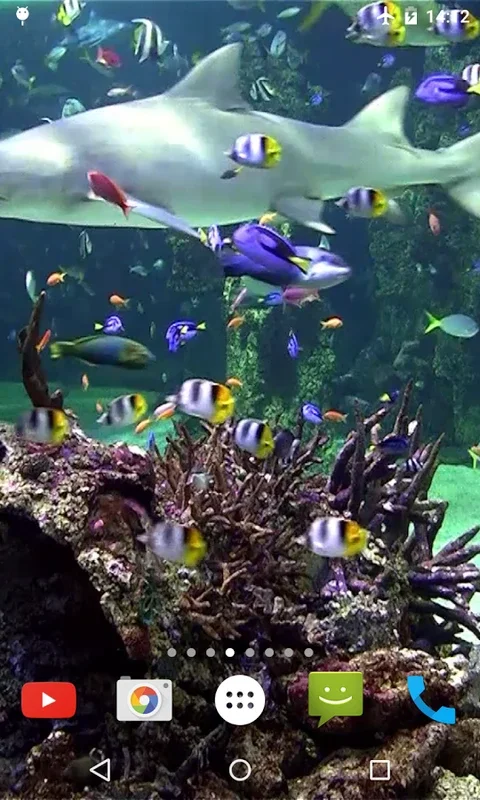 Aquarium 4K Video Wallpaper for Android - Transform Your Screen