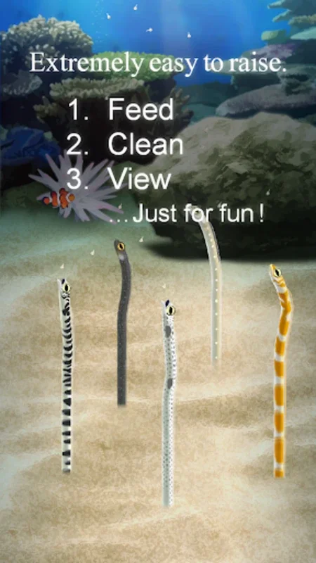 Garden Eel Pet for Android - A Calming Virtual Companion