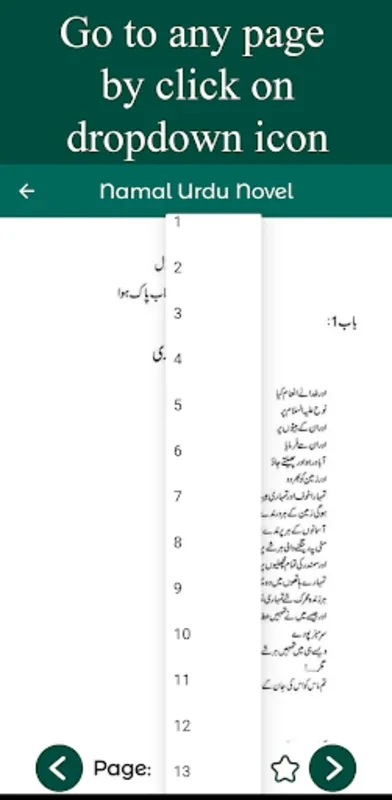 Namal Urdu Novel for Android - Immersive Reading Experience