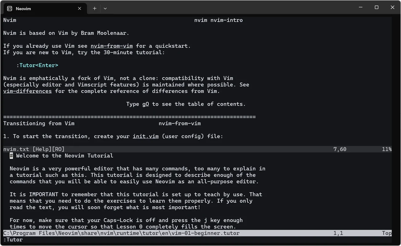 Neovim for Windows: Enhanced Programming Experience