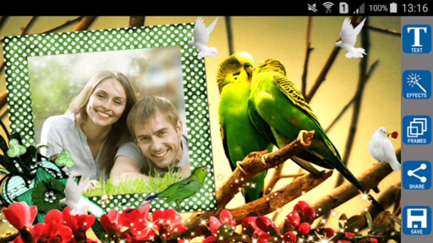 Love Birds Photo Frames for Android: Enhance Romance