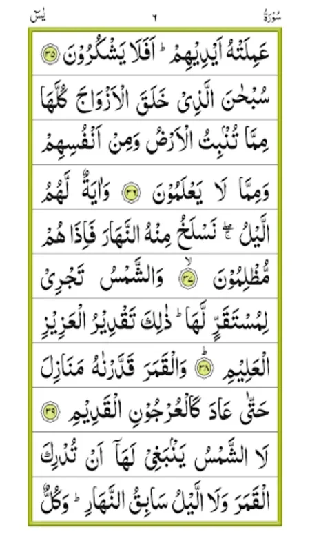 Surah Yaseen for Android: Spiritual Enrichment