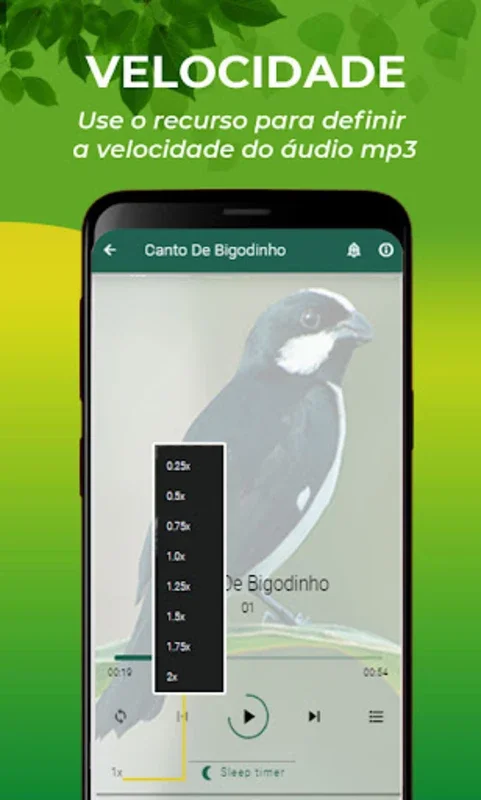 Canto De Bigodinho for Android - Immersive Bird Song Experience