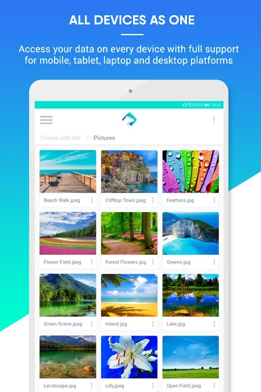 Icedrive - Free Cloud Storage for Android - No Download Needed