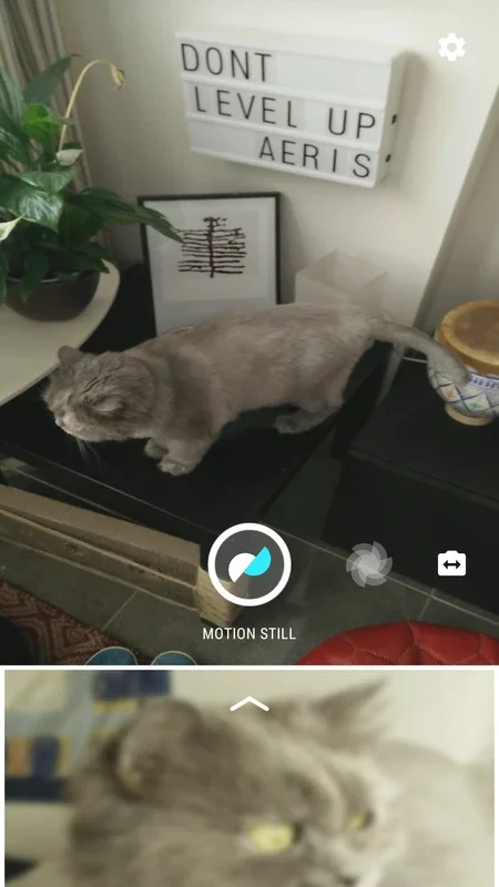 Motion Stills for Android: Create Quality Motion Shots