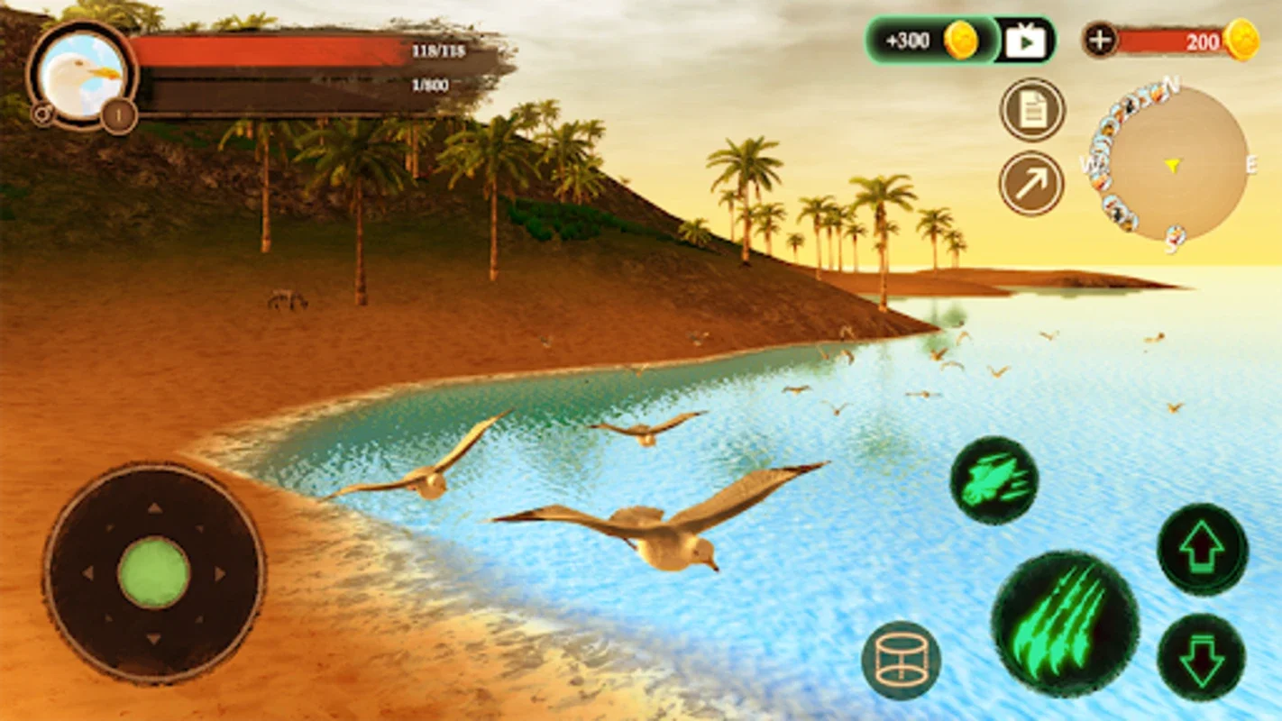 The Seagull for Android - Immersive Wildlife Sim