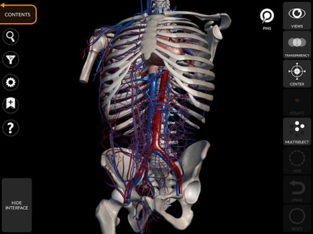 Anatomy 3D Atlas: Interactive 3D Human Anatomy for Android