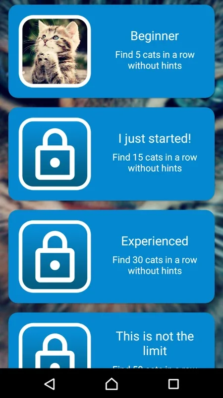 Find a cat on Android - Free APK Download