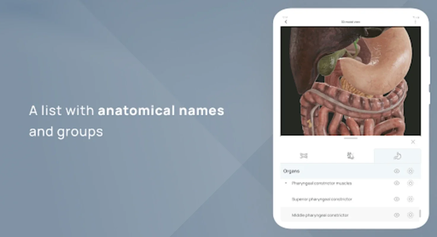 VOKA Pathology 3D for Android - No Downloading Needed! Explore 3D Anatomy