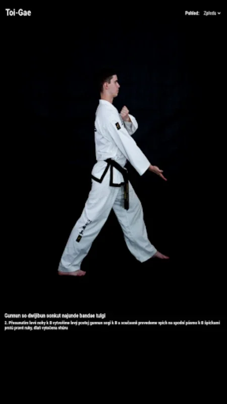 TUL TKD ITF for Android - Stay Updated with Taekwondo Techniques