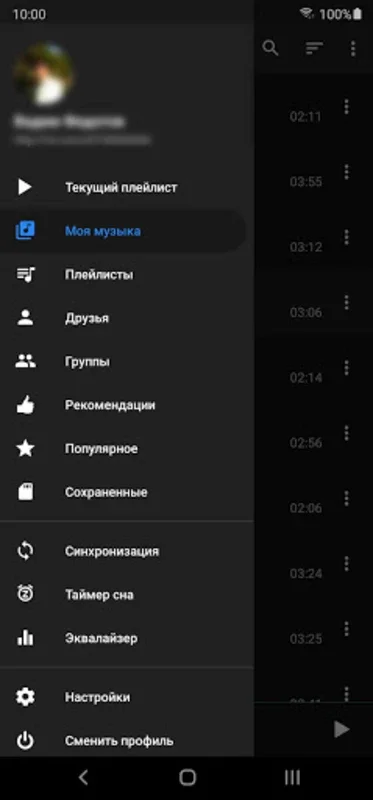 BiRD - Музыка из ВК for Android: Access VK Music