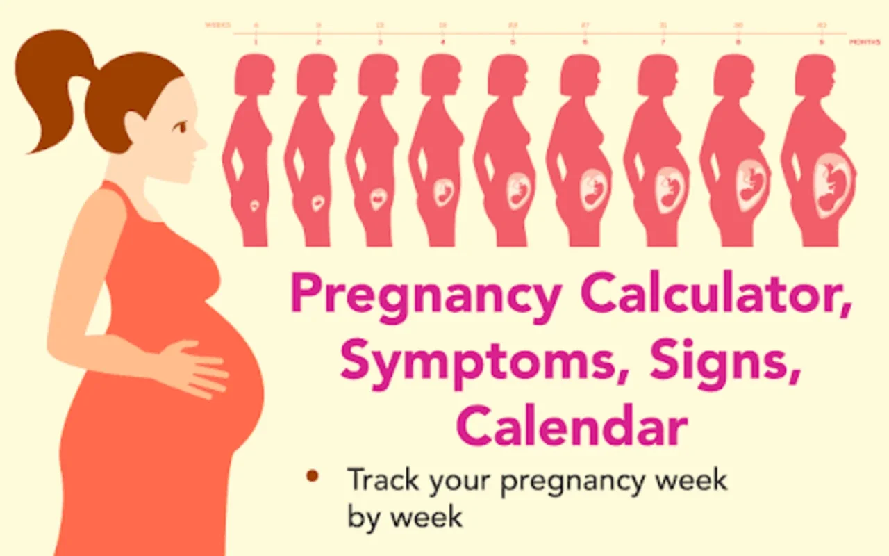 Pregnancy Calculator and Symptoms for Android: Comprehensive Tracking