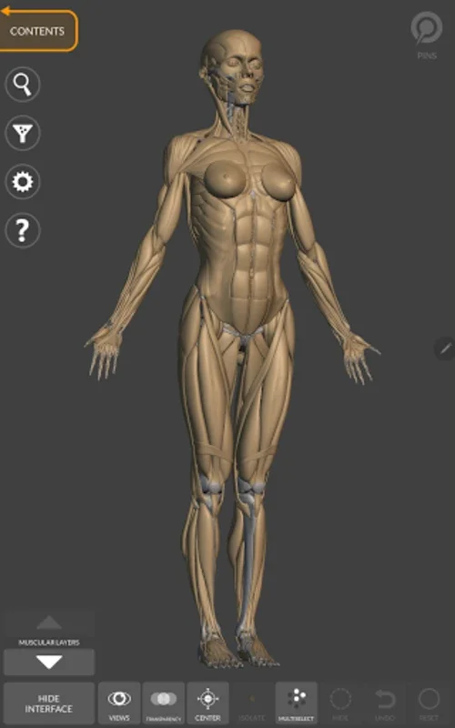 3D Anatomy for the Artist for Android - Enhance Your Artistic Skills