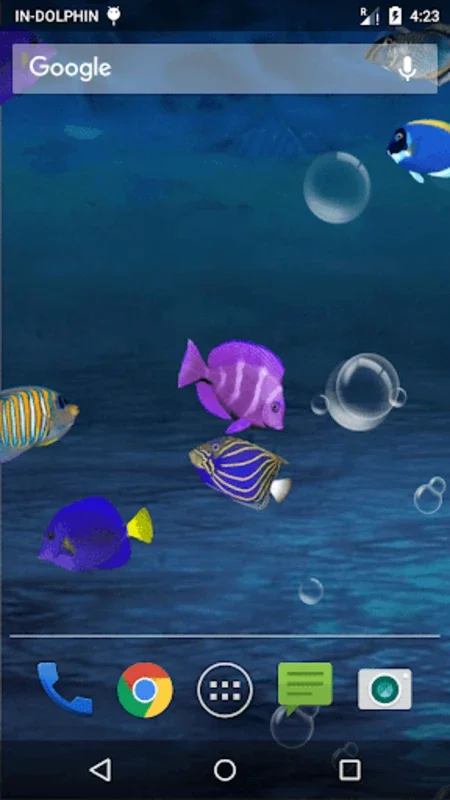 Fish Aquarium LWP for Android - Immersive Aquarium Experience