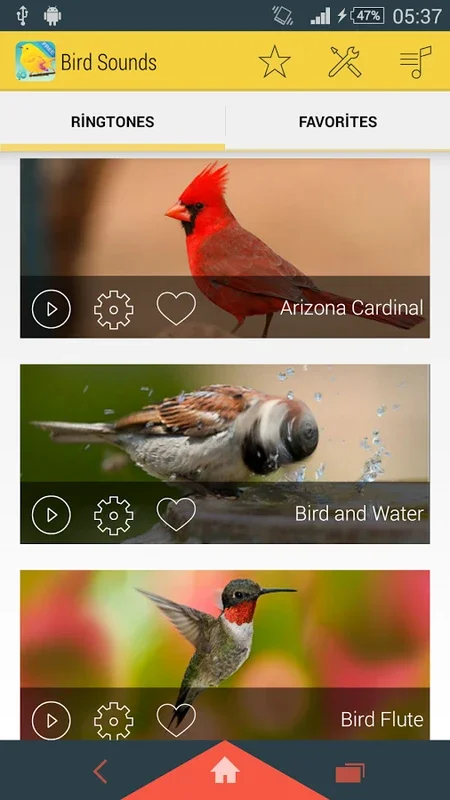 Bird Sounds for Android: Immerse in Nature's Melodies