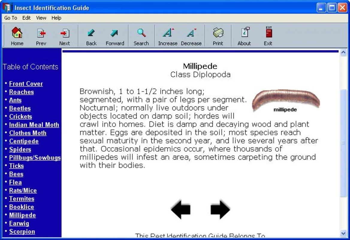 Insect Identification Guide for Windows - No Download Needed