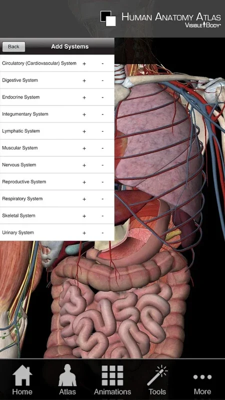 Atlas for Android: Explore Human Anatomy