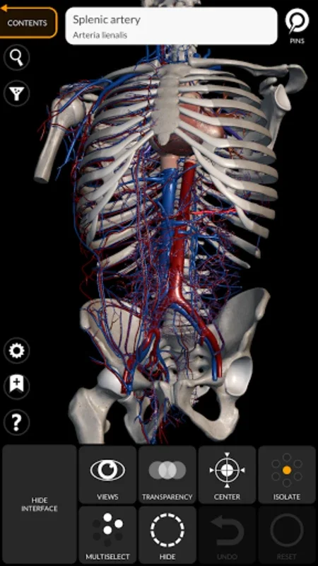 Anatomy 3D Atlas: Interactive 3D Human Anatomy for Android