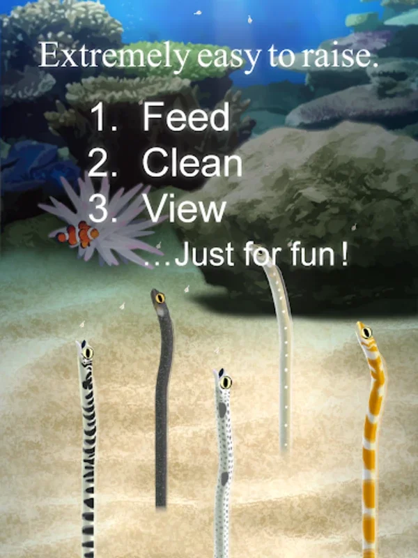 Garden Eel Pet for Android - A Calming Virtual Companion