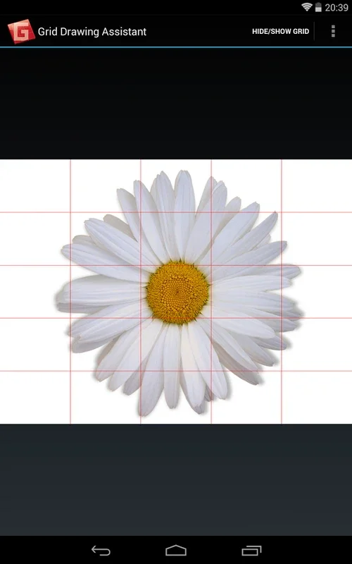 Grid Drawing Assistant for Android: Enhance Your Creativity