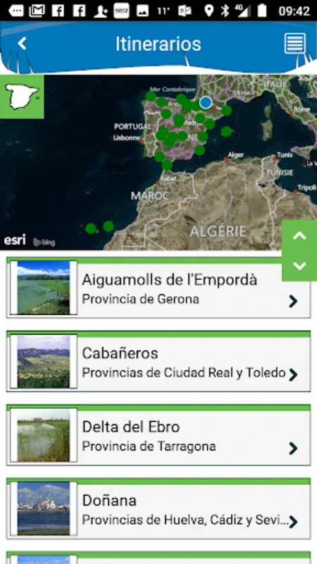 Aves de España for Android: A Comprehensive Guide to Spanish Birds