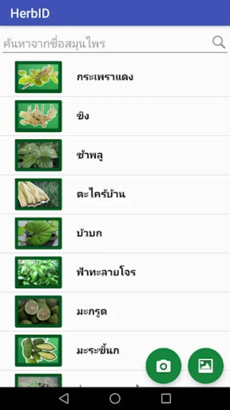 Herb ID for Android: Identify Thai Herbs Easily