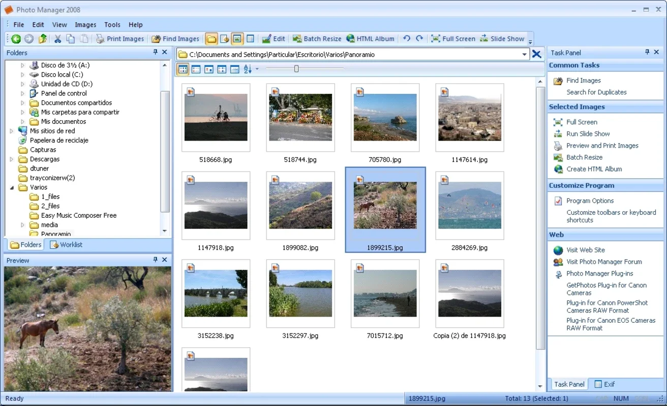 Photo Manager for Windows: Image Management Made Easy