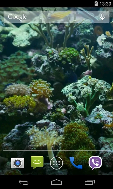 Aquarium Video Live Wallpaper for Android - Battery-Efficient Oasis