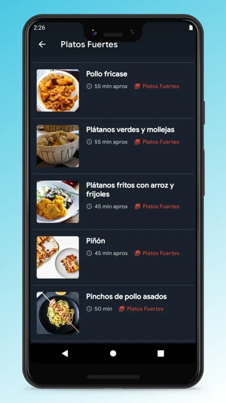 Puerto Rican Recipes - Food App for Android: Diverse Delicacies