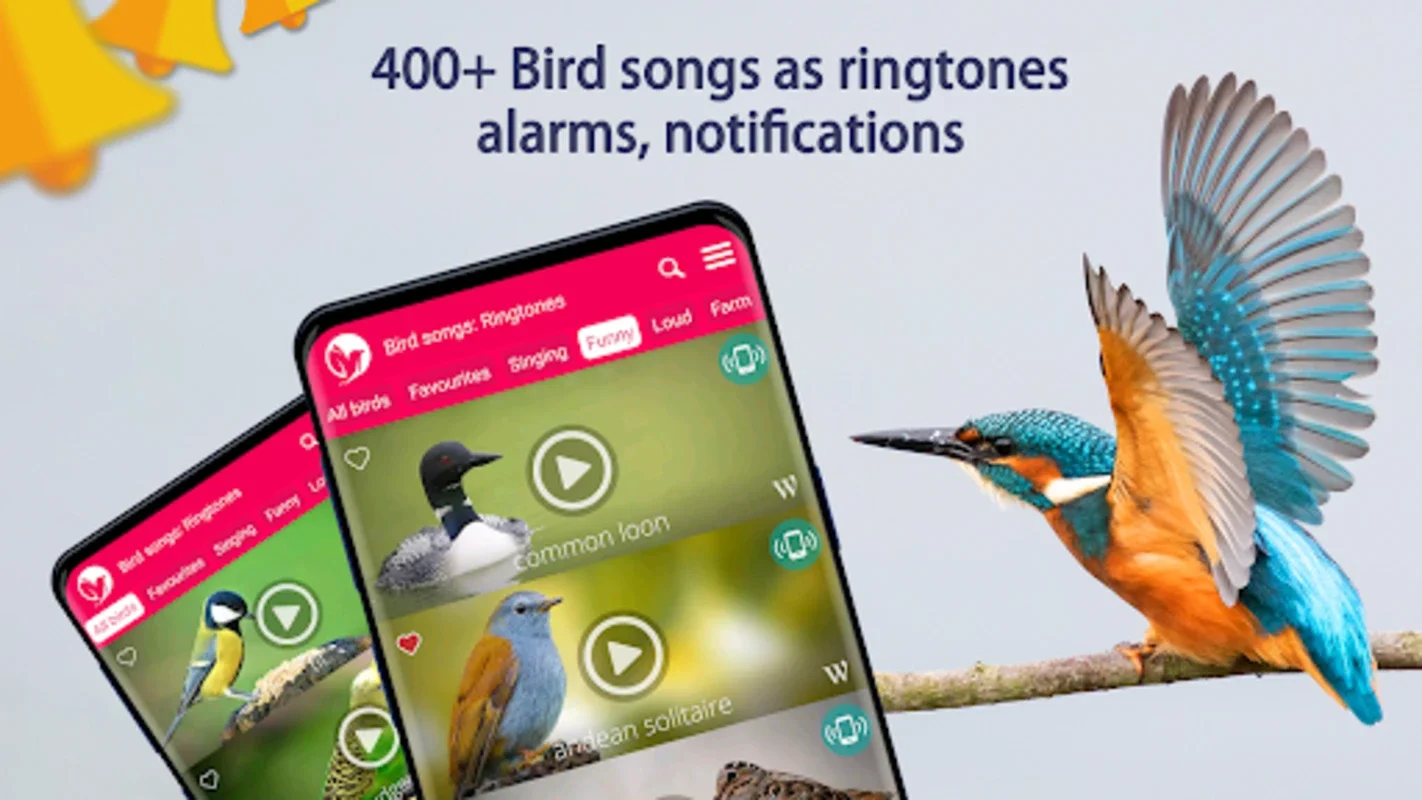 Bird Songs: Ringtones for Android - Enjoy Nature's Melodies