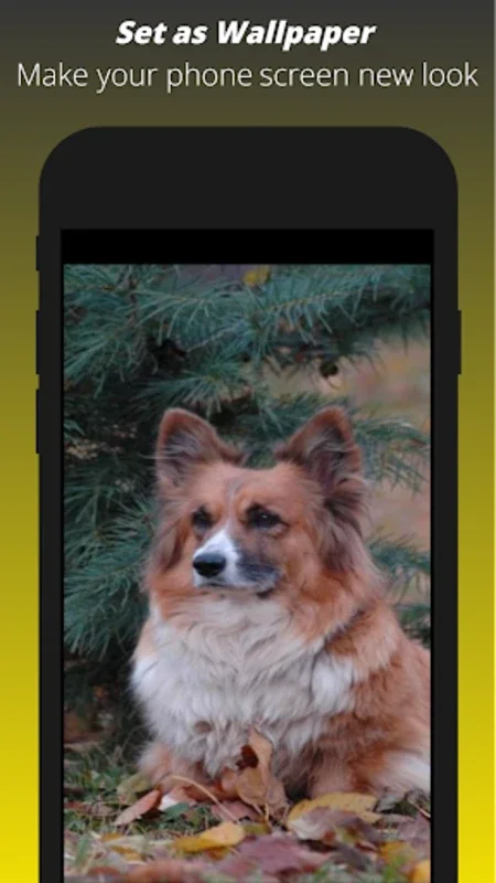 Dog Wallpaper HD for Android - Transform Your Device