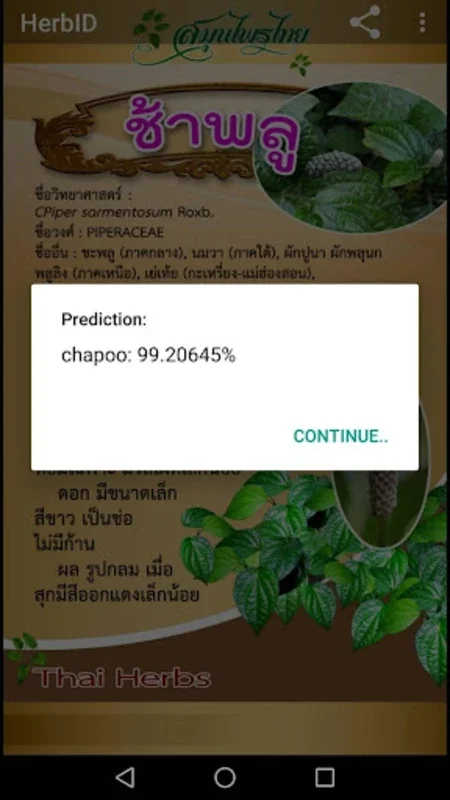 Herb ID for Android: Identify Thai Herbs Easily