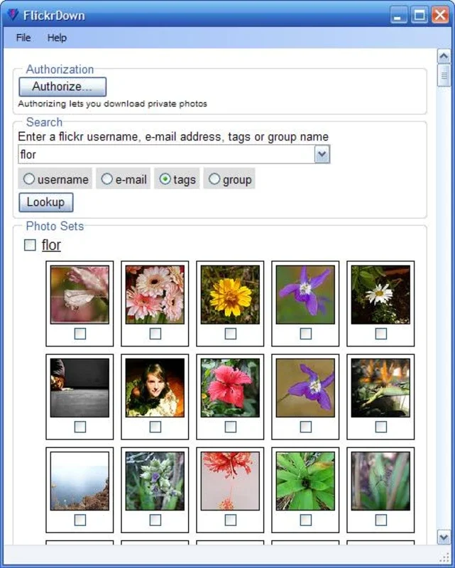 FlickrDown for Windows - Get it for Free on AppHuts