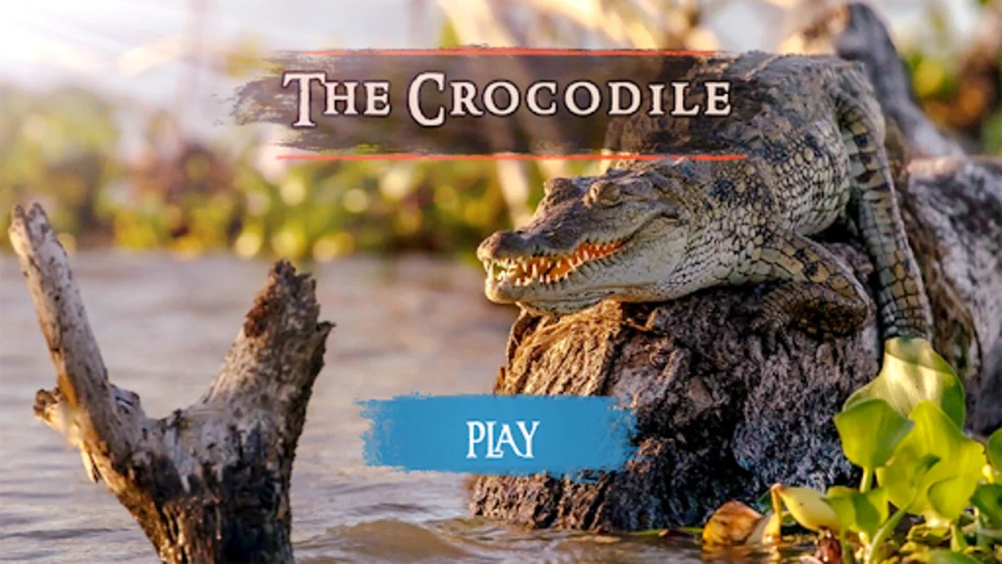 The Crocodile for Android - Download the APK from AppHuts