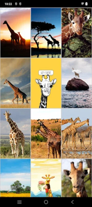 Giraffe Wallpapers for Android - Enhance Your Device